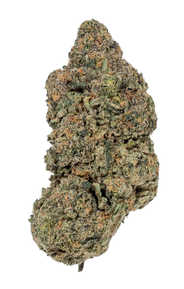 Fiestaz - 41.9% - INDICA
